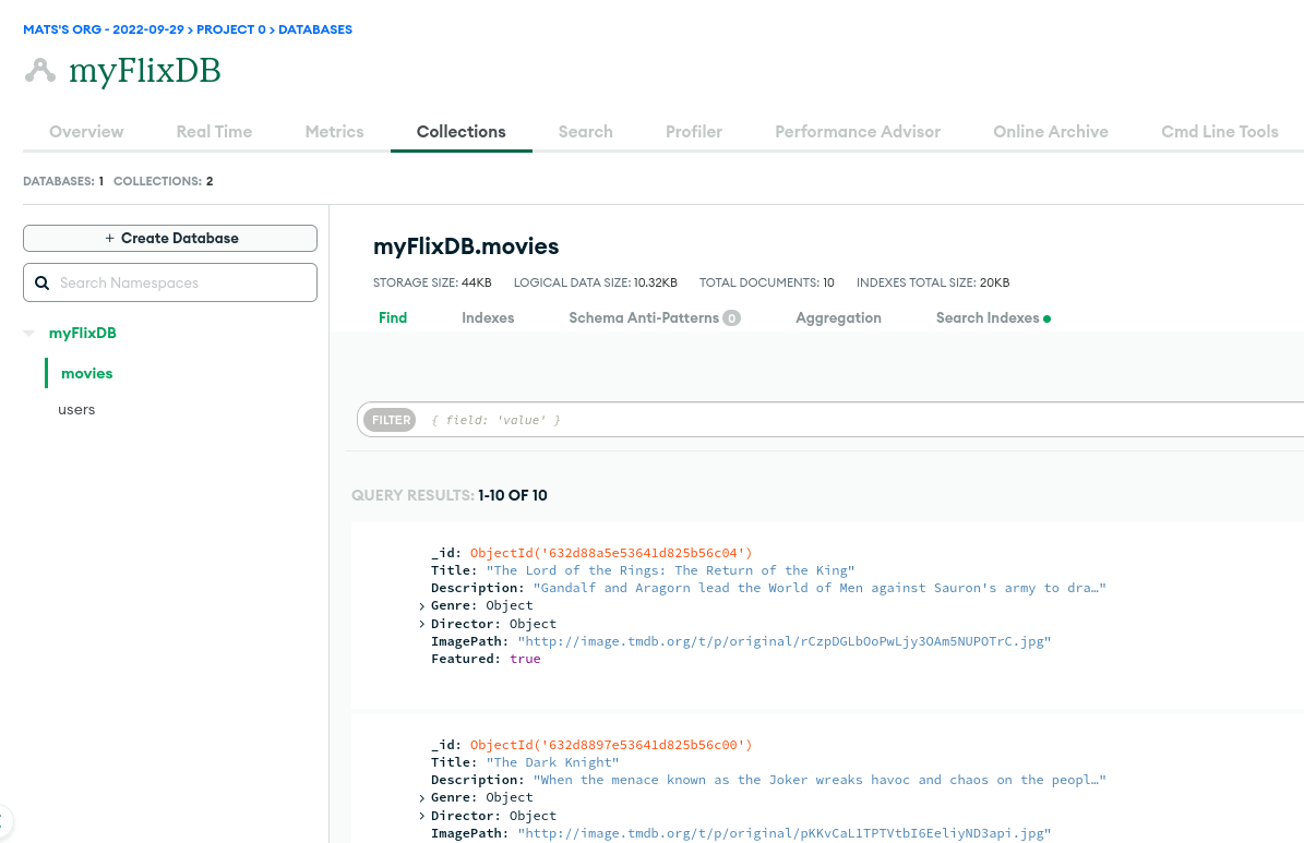 Screenshot of a mongo db database